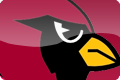 Arizona Cardinals