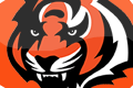 Cincinnati Bengals